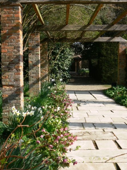 Bois des Moutiers (75) mars 2012